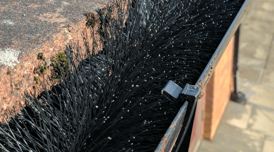 Install a GutterBrush and Avoid Clogged Gutters this Autumn