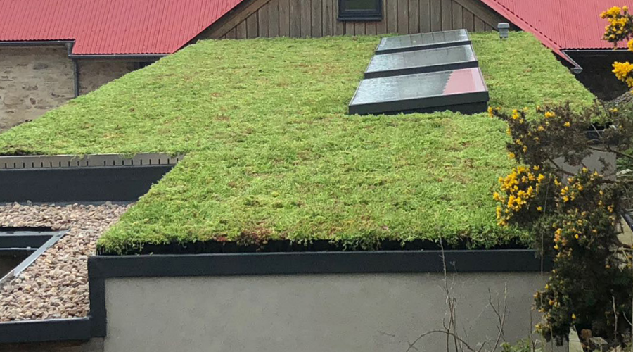 Green Roof | Waterproofing with a Roof Kit